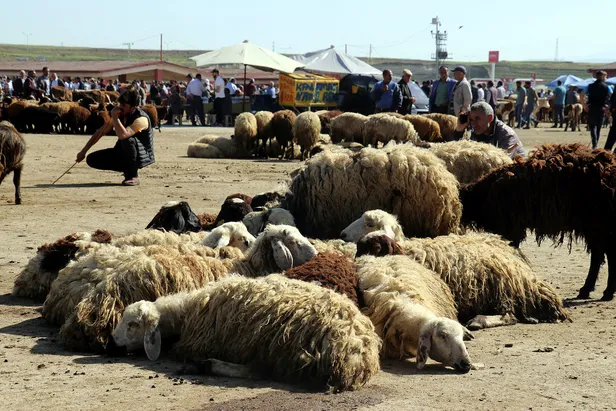 8-temmuz-arefe-gunu-tatil-mi-bayram-tatili-ne-zaman-baslayacak-2022-kurban-bayrami-tatili-kac-gun-9-gun-mu-1656420057061.jpg 8 Temmuz arefe günü tatil mi? Bayram tatili ne zaman başlayacak? 2022 Kurban Bayramı tatili kaç gün, 9 gün mü? - 4