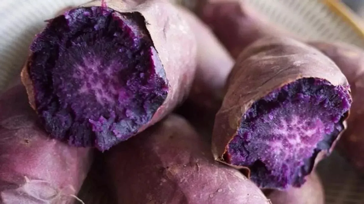 Uzun yaşamın sırrı bulundu! 1 tane yiyen 100 yaşını garantiliyor!