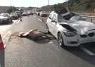 Lüks araç yola atlayan ata çarptı