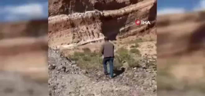 Ağrı Patnos’ta zehirli yılan paniği