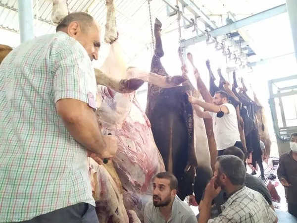 CHP'li belediyeler bayramı halka zehir etti! İstanbul'da kurban kesim rezaleti kamerada! Vatandaş isyan etti - 1