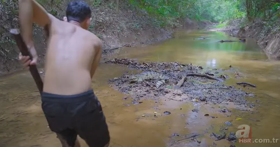 Hayatta kalmak için avladıkları timsahın karnından çıkanlar şoke etti! Mide bulandıran görüntü 3