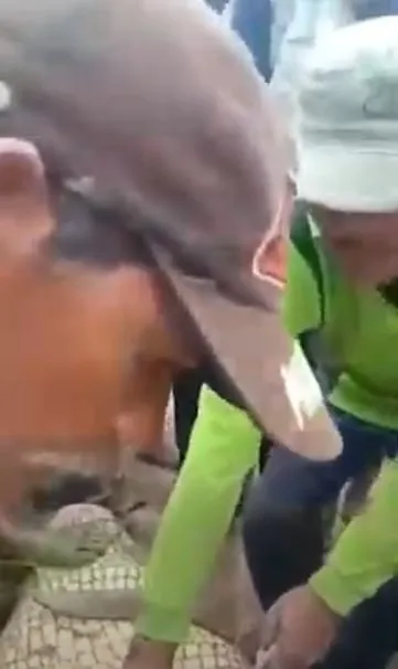 Timsahın karnından insan çıktı! Kan donduran anlar böyle görüntülendi...