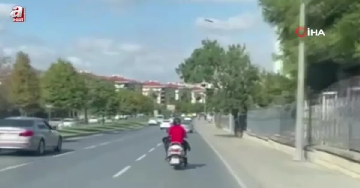 Motosiklet üzerinde köpek ile ilerledi