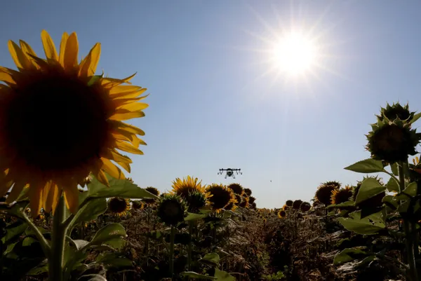 trakyada-tirtil-istilasinda-yeni-gelisme-mucadelede-sona-dogru-1658469935336.jpg Trakya’da tırtıl istilasında yeni gelişme! Mücadelede sona doğru