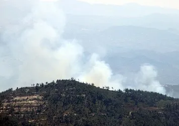 Orman yangını Yayladağı sınırına sıçradı