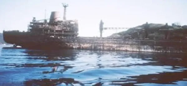 Kanal İstanbul neden gerekli? İstanbul Boğazı'nın tarihi ve geleceği gerçekleri gözler önüne serdi - 11