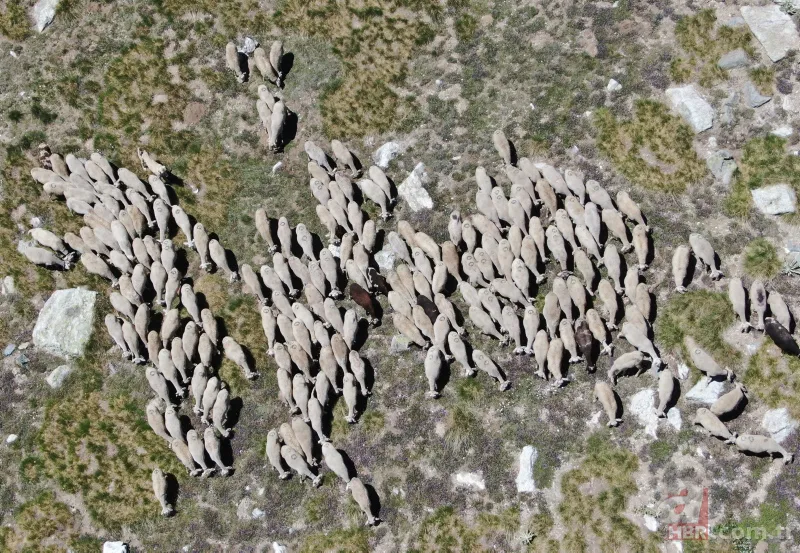 2543 metreden Başkan Erdoğan'a bayram selamı: Bizim gibi yaşlıları çok mutlu etti 2