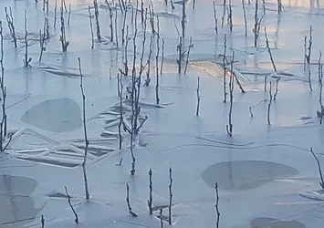 Adıyaman buz tuttu