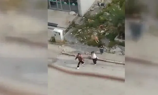 1716728731130.jpeg Başıboş köpekler öğrencilere saldırdı! Hatay'da korku dolu anlar kamerada - 4