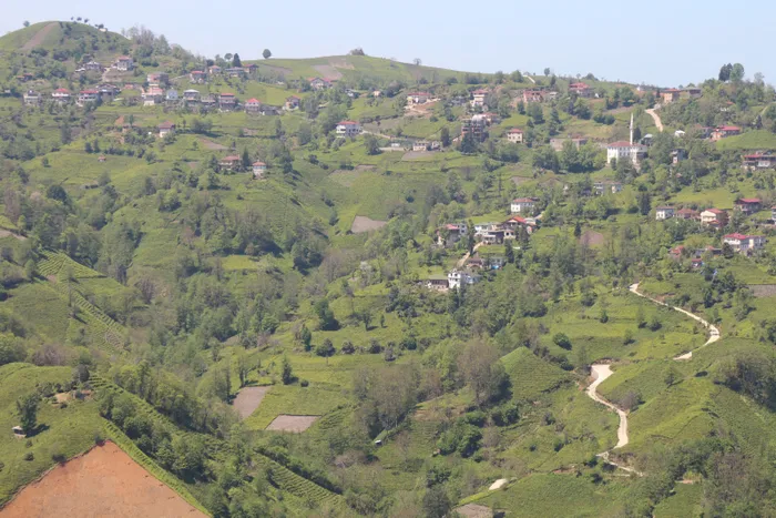 Son dakika: Kokutan koronavirüs raporu! Rize Valisi uyardı: Vakaların yüzde 83'ü ev bulaşı - 1
