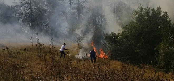 Adana’daki orman yangını kontrol altında
