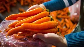 Her gün 1 tane tüketin! Havucun bilinmeyen faydaları...