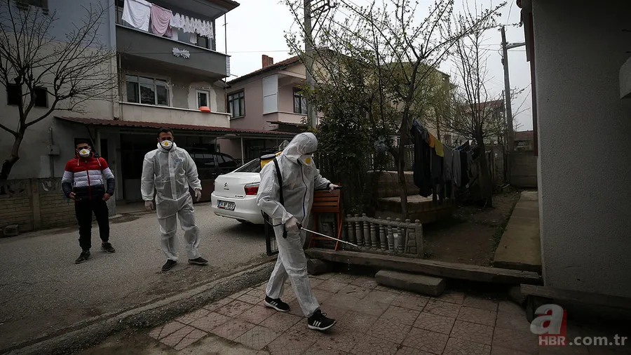 Sürücü kursları ne zaman açılacak? Kafeler, spor salonları, restoranlar, düğün salonları Haziran'da açılacak mı? 5