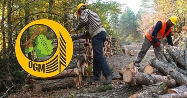 Tarım ve Orman Bakanlığı personel alımı ne zaman yapılacak? 2022 OGM ve DSİ personel alımı başvuru şartları ve kontenjanları açıklandı mı? - 1