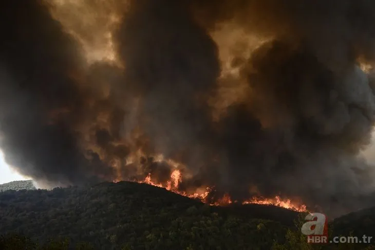 Yunanistan yangınında 9. gün! Kontrol altına alınamıyor: 720 bin dönümün üzerinde alan yandı