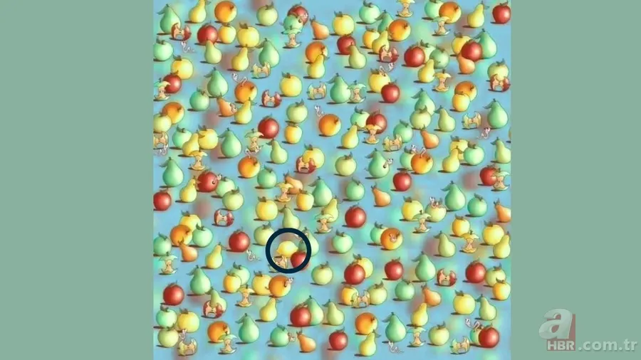 Jilet keskinliğinde gözler! Limonu 5 saniyede bulun: Bu testi geçebilir misiniz? 5