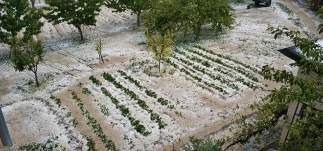 Amasya’da dolu, tarım arazilerine zarar verdi