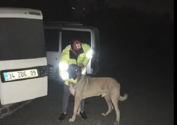 Ormanlık alanda kanlı bahis: 25 gözaltı