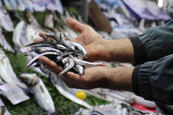 Denizde bolluk başladı! Balık tezgahlarında fiyat düştü