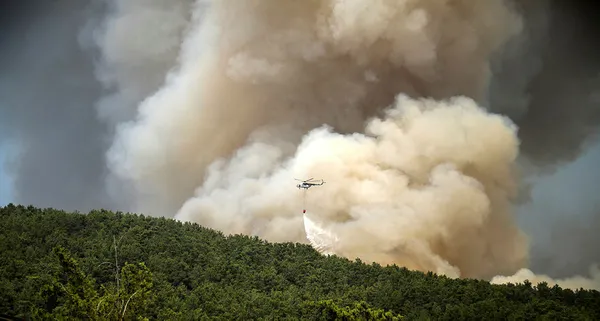 Başkan Recep Tayyip Erdoğan’dan ortak yayında A Haber’e özel son dakika açıklamaları