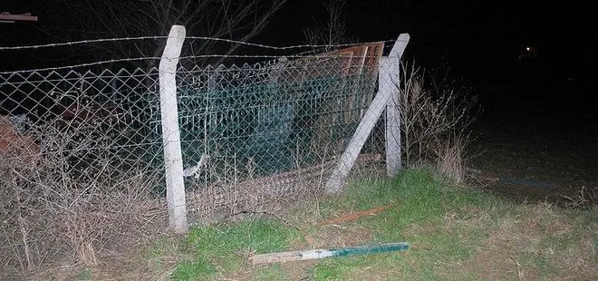 Köpekleri besleyip çiftlikten panel çitleri çaldılar