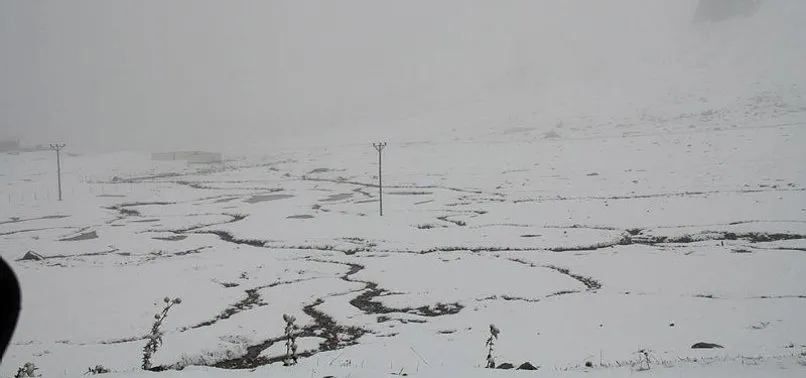 Meteoroloji'den son dakika hava durumu açıklaması! Yoğun kar ve kuvvetli yağış uyarısı | 7 Kasım 2020 hava durumu