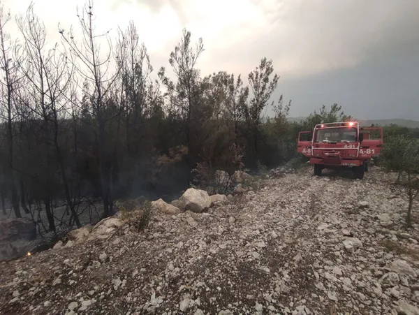 Organize kara propaganda! Sosyal medyada hortladılar