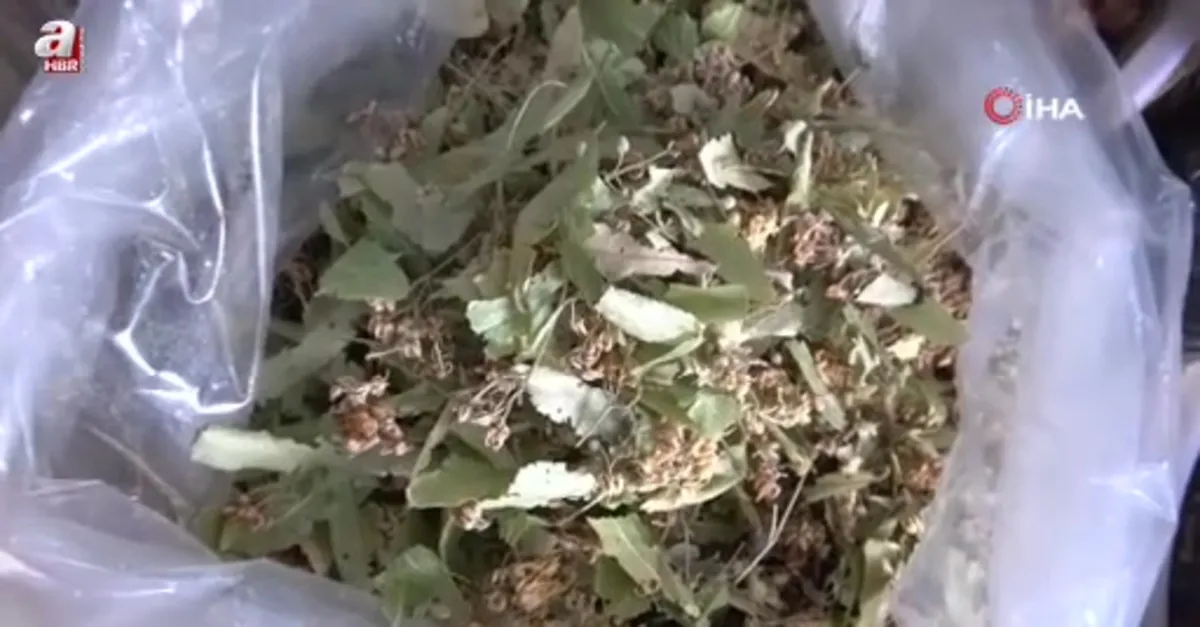 Havalar soğudu aktarlara ilgi arttı