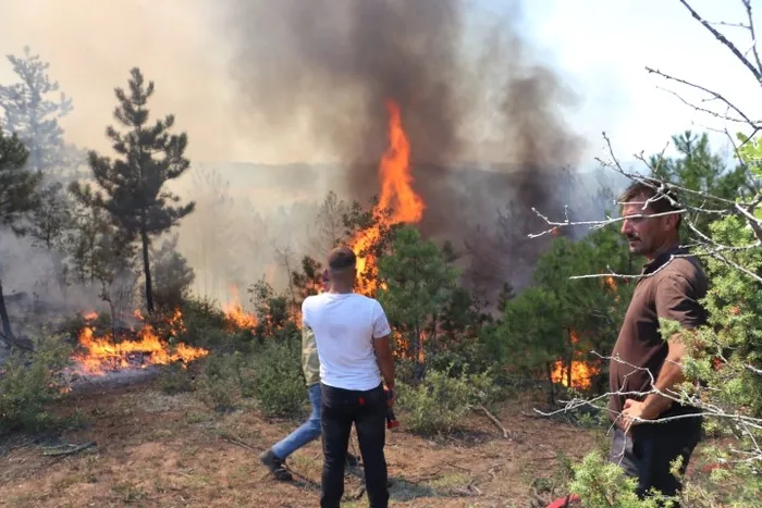 Son dakika: Türkiye’nin birçok yerinde ormanlara girmek yasaklandı! İşte o iller...