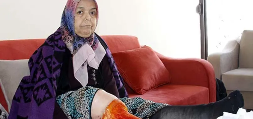 Sivrisinek ısırığı hayatını kararttı