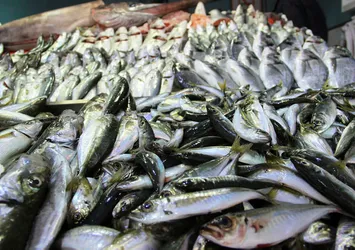 Balık fiyatları yüzde 50 arttı