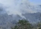 KKTC’deki orman yangını Geçitkale bölgesine yaklaştı
