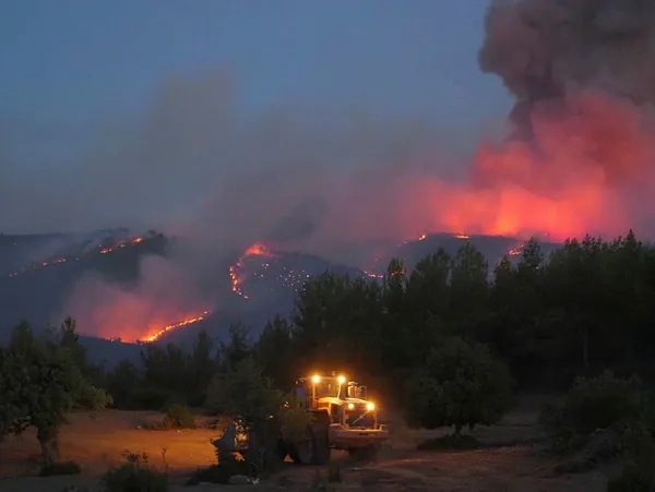 Yangın bölgelerine ilişkin sosyal güvenlik prim borçlarına erteleme kararı: Bakan Vedat Bilgin’den son dakika açıklaması