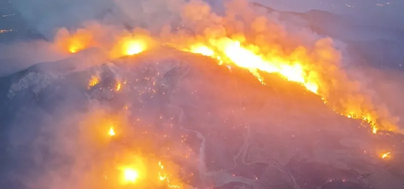 CANLI | Tarım ve Orman Bakanı Yumaklı: Ülkemizde şu an aktif bir yangın yok