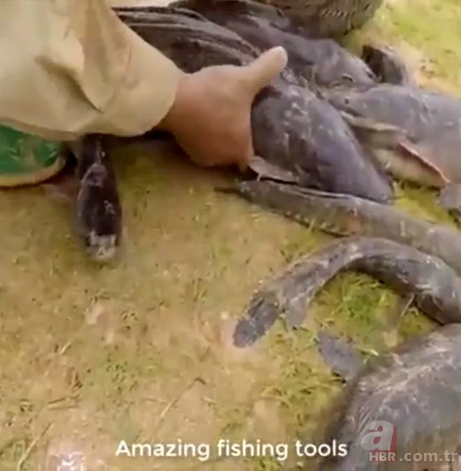 Avlayıp metrelerce ağzında böyle taşıdı! Amatör balıkçılar görüntüledi 16
