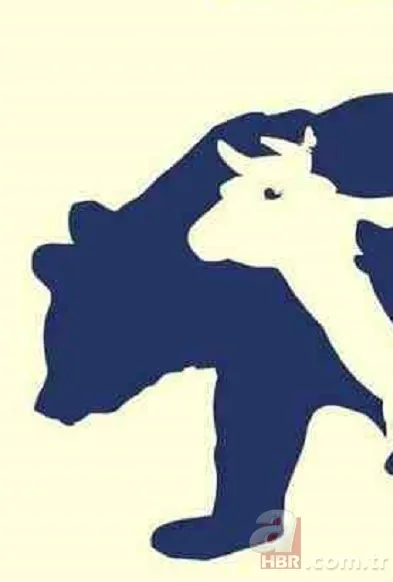 Zeka testi: Resimdeki 10 hayvan nerede? 832 kişiden sadece 9'u bulabildi 3