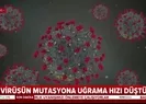 İngiliz bilim insanlarından mutasyon açıklaması