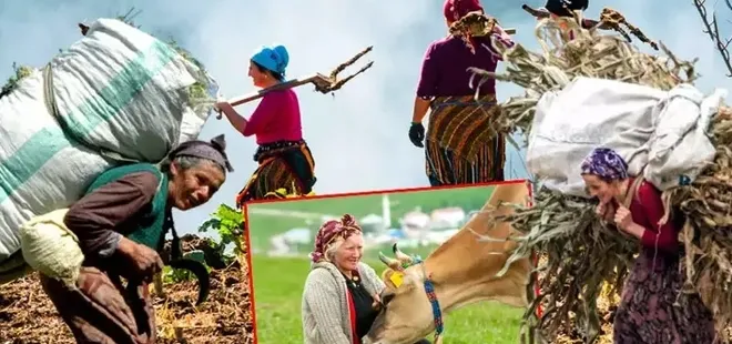 Karadeniz’in nemli ikliminde sinsi tehlike