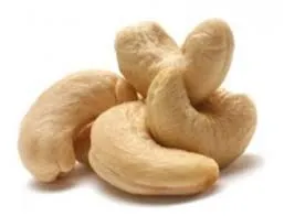 Kaju gebelikte gerekli çinkoyu içeriyor... 2