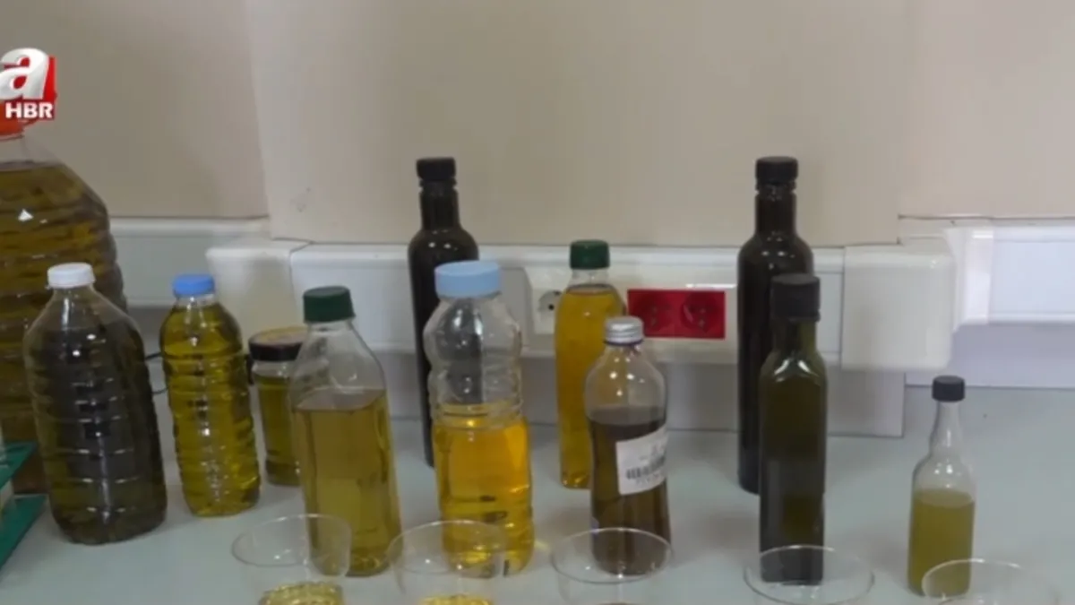 Gerçek zeytinyağı nasıl anlaşılır? A Haber araştırdı