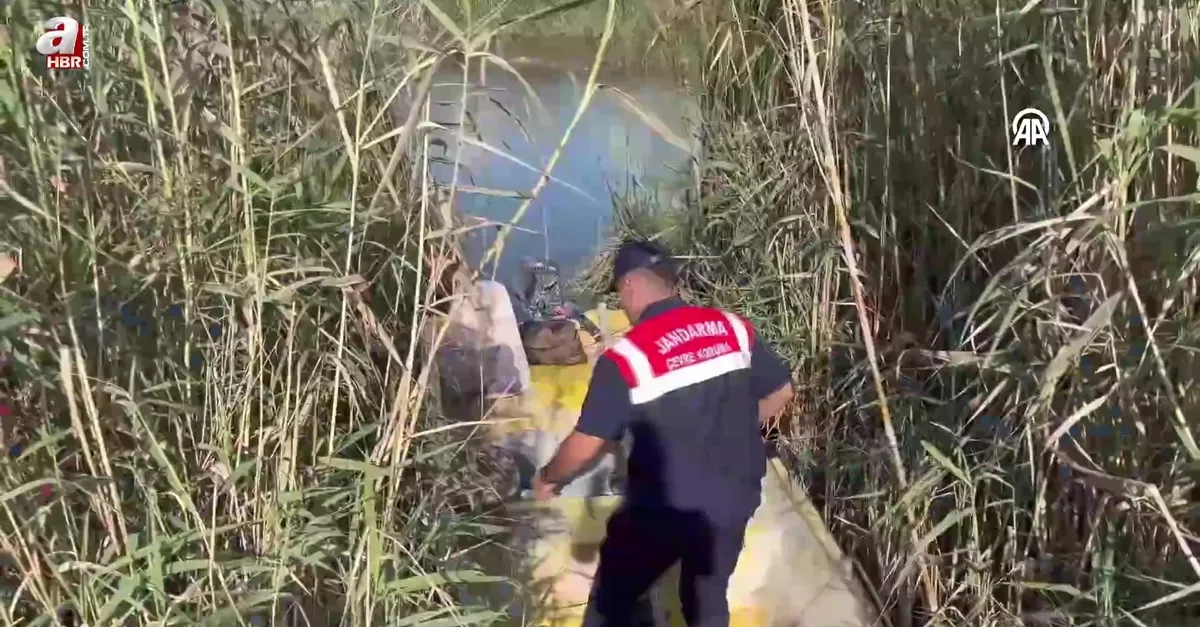 Mersin'da yasa dışı olarak mavi yengeç avlayan 2 şüpheli yakalandı