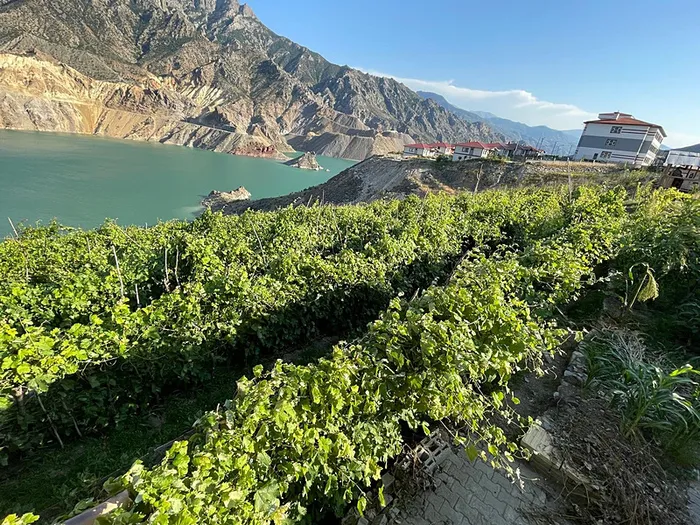 Yusufeli HES yılda 2,5 milyon kişinin elektrik ihtiyacını karşılıyor