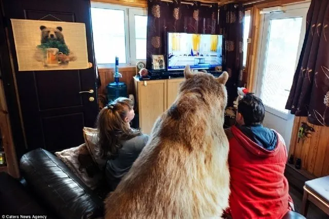 Rus aile evlerinde ayı besliyor