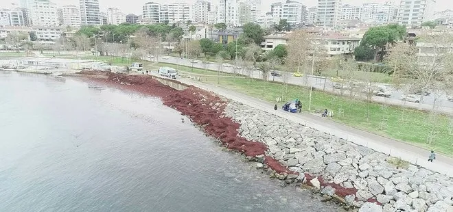 Görüntüler İstanbul Caddebostan’dan! Sahil kızıla boyandı