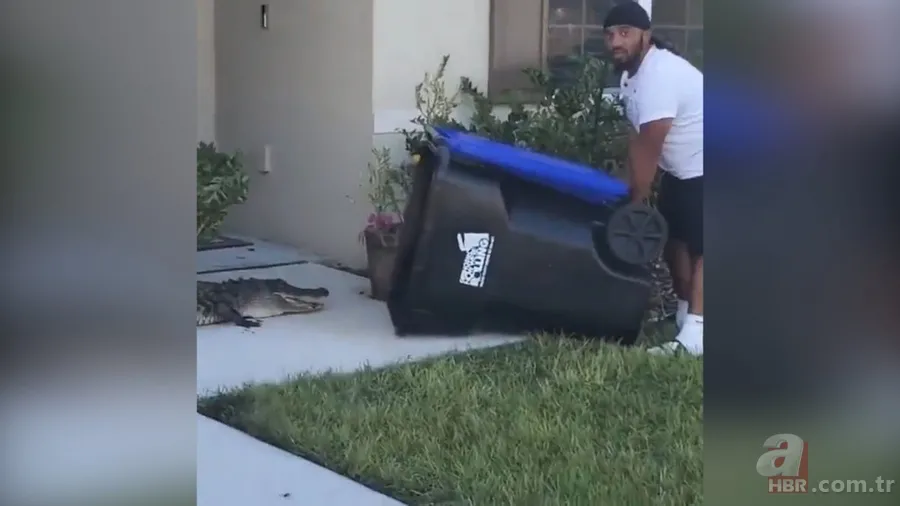 Sürücülerin kabusu oldu! Geceleri ortaya çıkıp yola fırlıyor 8