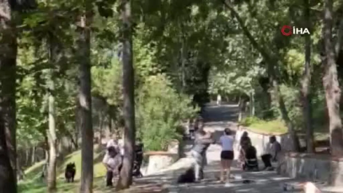 Maçka Parkı’nda köpeğini tasmasız gezdirdi uyaranlara saldırdı