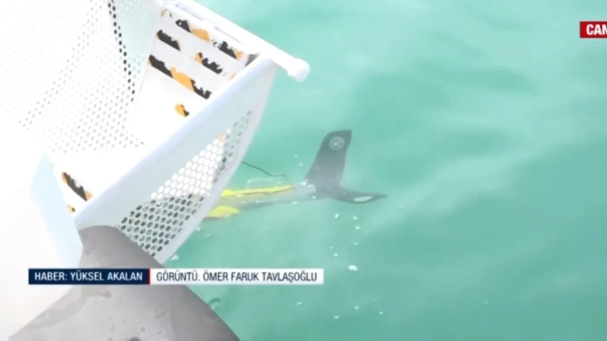 Rojin’i arama çalışmaları! Van Gölü'nde sonar cihazla tarama