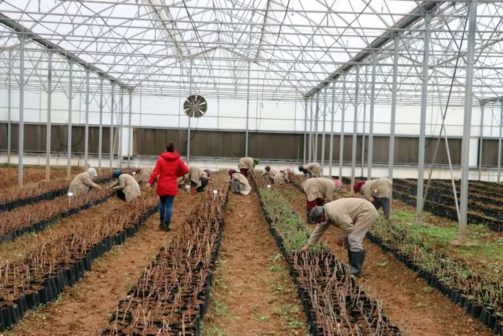 Gaziantepli 7 kadın, kurdukları kooperatifle ihracata başladı! İlk kez kendi parasını kazandı