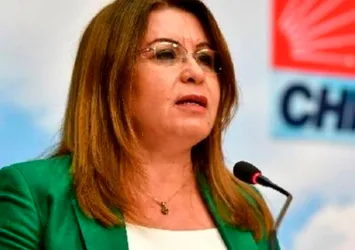 CHP Genel Başkan Yardımcısı Gülizar Biçer Karaca'dan skandal KHK açıklaması! FETÖ'cülere sahip çıktı